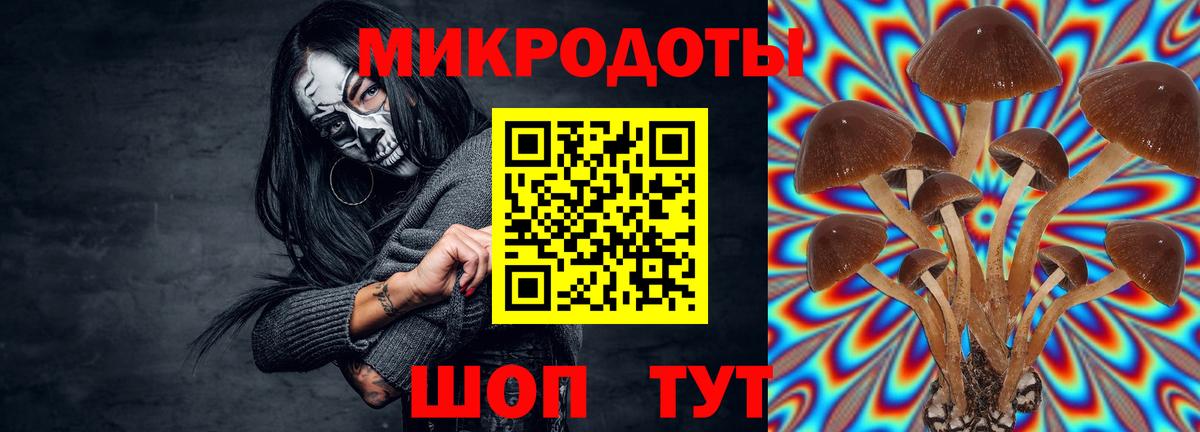 Лесосибирск  Галлюциногенные грибы GOLDEN TEACHER  Вход с VPN  Галлюциногенные грибы Psilocybe 